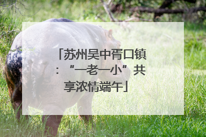 苏州吴中胥口镇：“一老一小”共享浓情端午