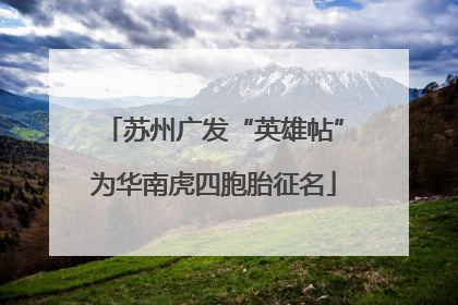 苏州广发“英雄帖”为华南虎四胞胎征名