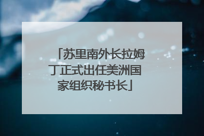 苏里南外长拉姆丁正式出任美洲国家组织秘书长