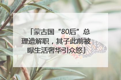 蒙古国“80后”总理遭解职，其子此前被曝生活奢华引众怒
