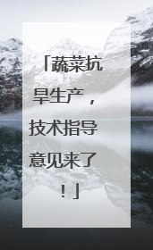 蔬菜抗旱生产，技术指导意见来了！
