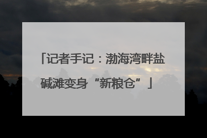 记者手记：渤海湾畔盐碱滩变身“新粮仓”