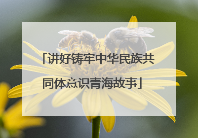 讲好铸牢中华民族共同体意识青海故事