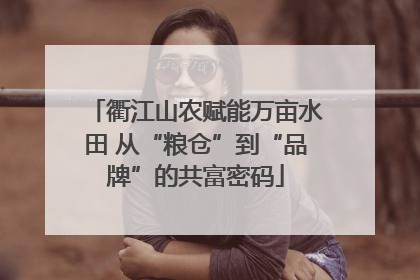 衢江山农赋能万亩水田 从“粮仓”到“品牌”的共富密码