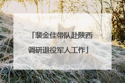 裴金佳带队赴陕西调研退役军人工作