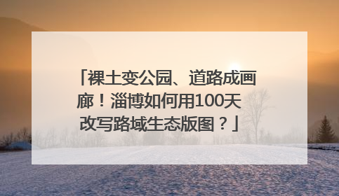 裸土变公园、道路成画廊！淄博如何用100天改写路域生态版图？
