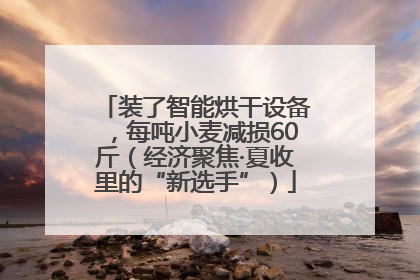 装了智能烘干设备，每吨小麦减损60斤（经济聚焦·夏收里的“新选手”）