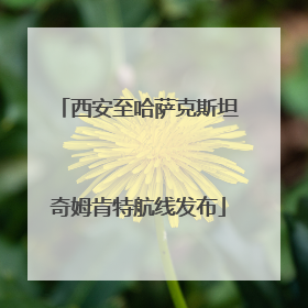西安至哈萨克斯坦奇姆肯特航线发布