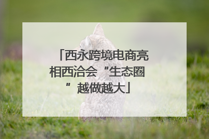 西永跨境电商亮相西洽会“生态圈”越做越大
