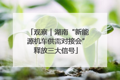 观察｜湖南“新能源机车供需对接会”释放三大信号