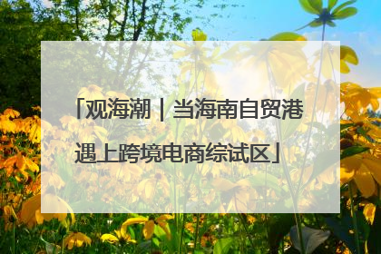 观海潮｜当海南自贸港遇上跨境电商综试区