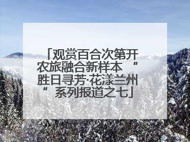 观赏百合次第开 农旅融合新样本 “胜日寻芳·花漾兰州”系列报道之七