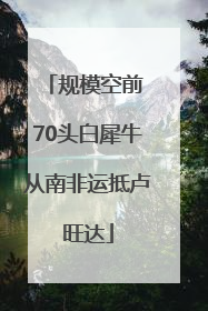 规模空前 70头白犀牛从南非运抵卢旺达