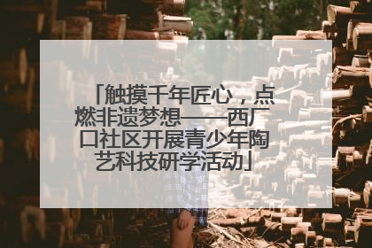 触摸千年匠心，点燃非遗梦想——西厂口社区开展青少年陶艺科技研学活动