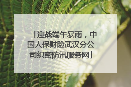 迎战端午暴雨，中国人保财险武汉分公司织密防汛服务网