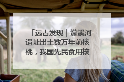 远古发现｜濛溪河遗址出土数万年前核桃，我国先民食用核桃历史大幅提前