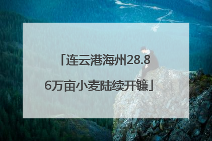 连云港海州28.86万亩小麦陆续开镰