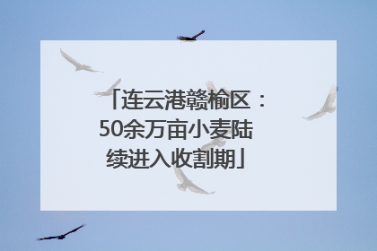 连云港赣榆区：50余万亩小麦陆续进入收割期