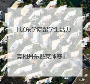 辽东学院留学生活力亮相丹东匹克球赛