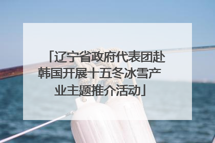 辽宁省政府代表团赴韩国开展十五冬冰雪产业主题推介活动
