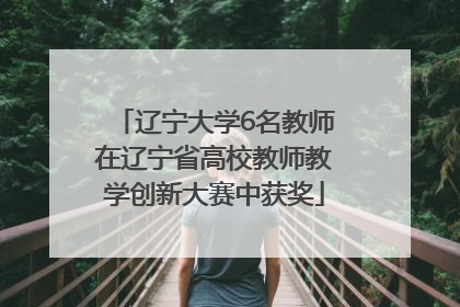 辽宁大学6名教师在辽宁省高校教师教学创新大赛中获奖