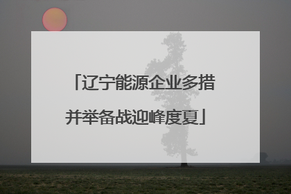 辽宁能源企业多措并举备战迎峰度夏