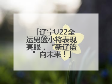 辽宁U22全运男篮小将表现亮眼，“新辽篮”向未来！