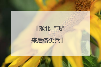 豫北“飞”来后备尖兵