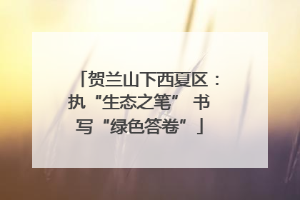 贺兰山下西夏区：执“生态之笔” 书写“绿色答卷”