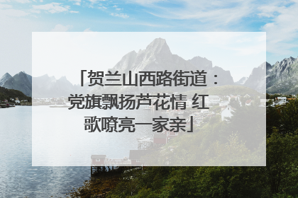 贺兰山西路街道：党旗飘扬芦花情 红歌嘹亮一家亲