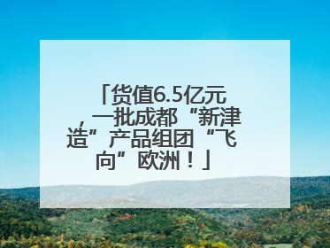 货值6.5亿元，一批成都“新津造”产品组团“飞向”欧洲！