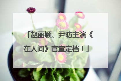 赵丽颖、尹昉主演《在人间》官宣定档！