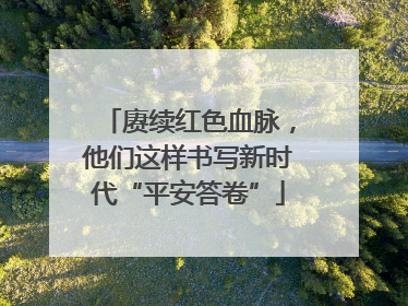 赓续红色血脉，他们这样书写新时代“平安答卷”