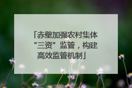赤壁加强农村集体“三资”监管，构建高效监管机制