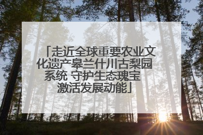走近全球重要农业文化遗产皋兰什川古梨园系统 守护生态瑰宝 激活发展动能
