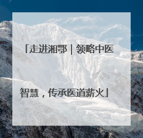 走进湘鄂｜领略中医智慧，传承医道薪火