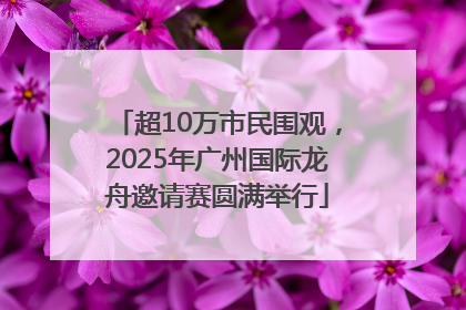超10万市民围观，2025年广州国际龙舟邀请赛圆满举行