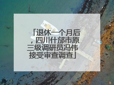 退休一个月后，四川什邡市原三级调研员冯伟接受审查调查