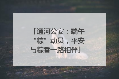 通河公安：端午“粽”动员，平安与粽香一路相伴