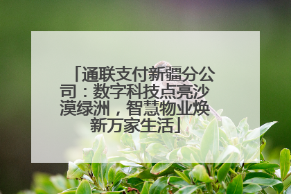 通联支付新疆分公司：数字科技点亮沙漠绿洲，智慧物业焕新万家生活