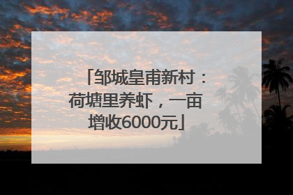 邹城皇甫新村：荷塘里养虾，一亩增收6000元