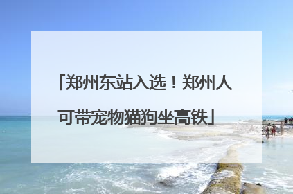 郑州东站入选！郑州人可带宠物猫狗坐高铁