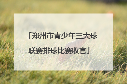 郑州市青少年三大球联赛排球比赛收官