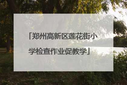 郑州高新区莲花街小学检查作业促教学