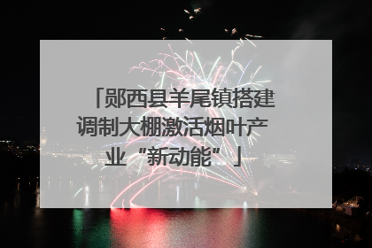 郧西县羊尾镇搭建调制大棚激活烟叶产业“新动能”