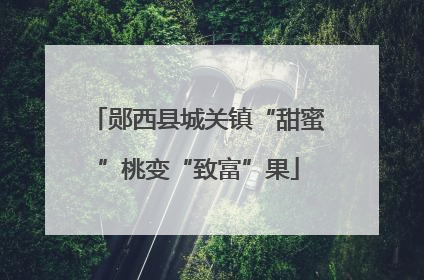 郧西县城关镇“甜蜜”桃变“致富”果