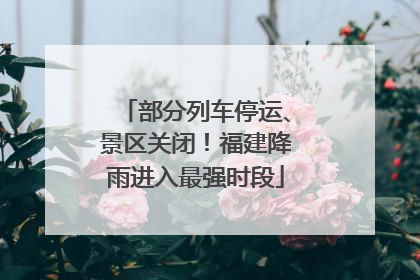 部分列车停运、景区关闭！福建降雨进入最强时段