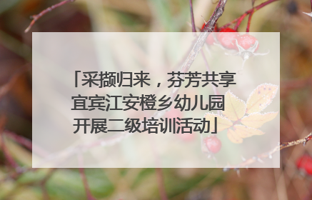采撷归来，芬芳共享 宜宾江安橙乡幼儿园开展二级培训活动