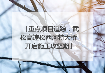 重点项目追踪：武松高速松西河特大桥开启施工攻坚期