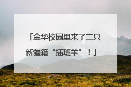 金华校园里来了三只新疆籍“插班羊”！